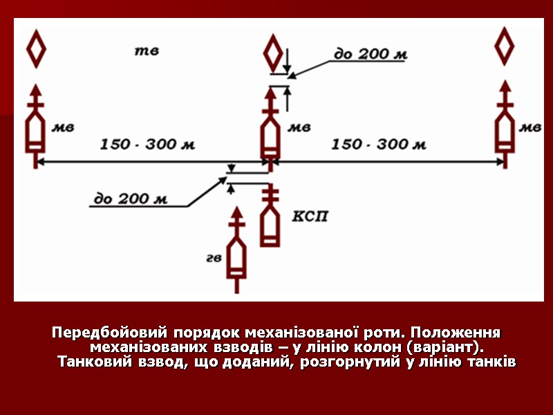 Передбойовий порядок механізованої роти. Положення механізованих взводів – у лінію колон (варіант). Танковий взвод,